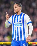 chelsea-compete-the-signing-of-joao-pedro-from-brighton Image