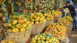 mango-farmers-in-tana-river-urged-to-utilize-fruit-processing-factory Image