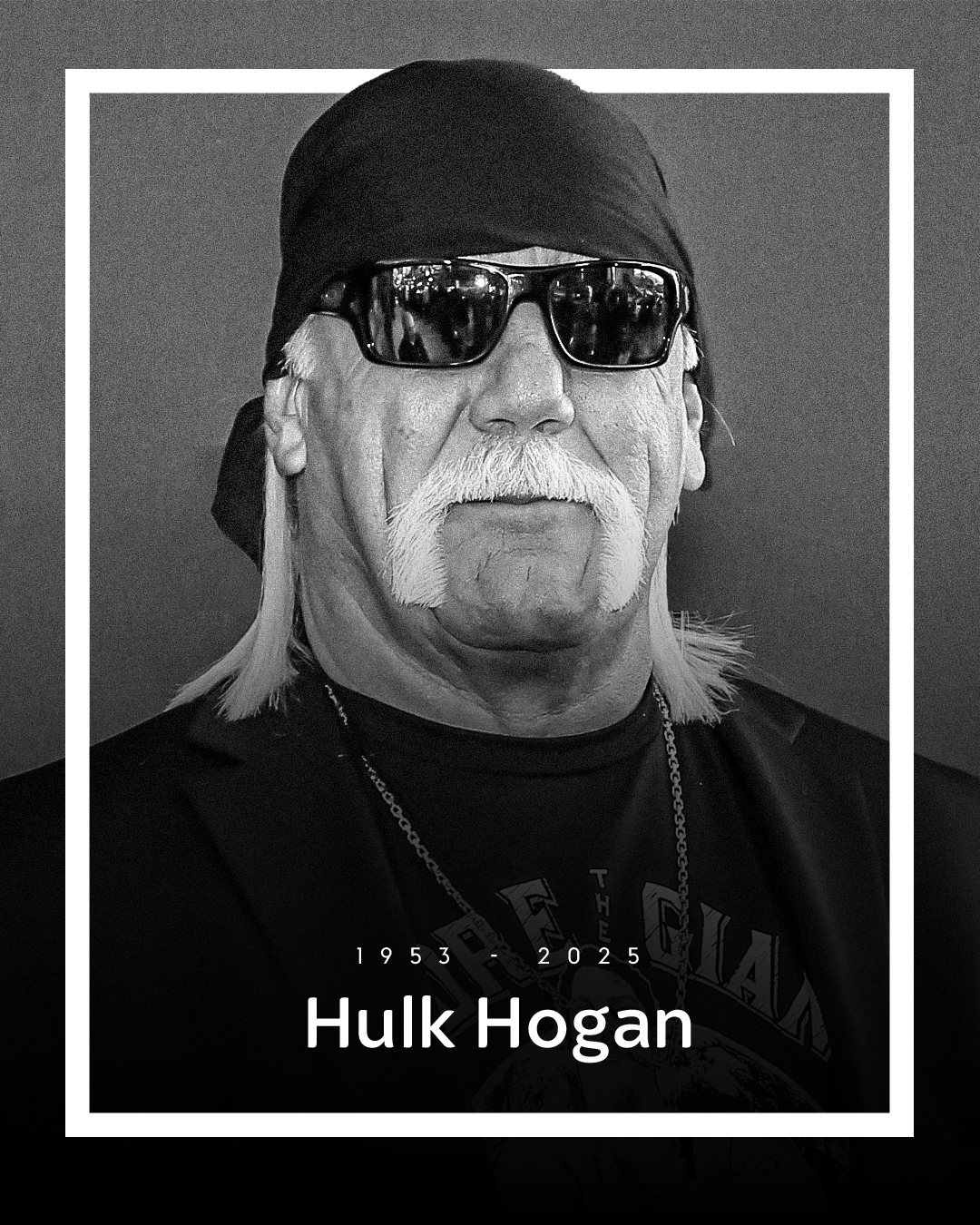 breaking-legendary-wrestler-hulk-hogan-dies-aged-71 Image