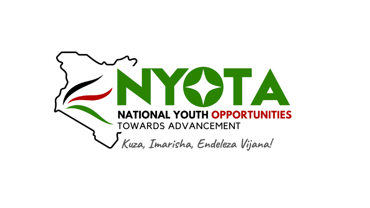 govt-guarantees-pwds-access-to-nyota-project Image