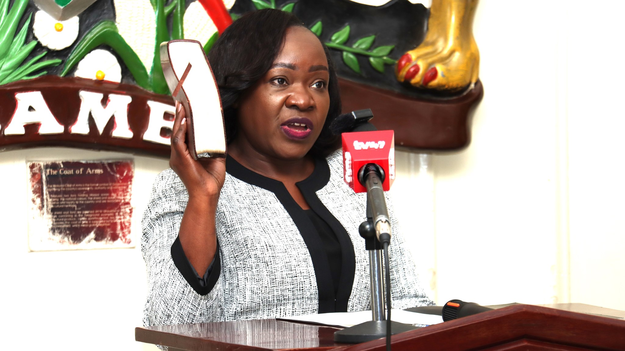 knchr-issues-warning-against-mocking-persons-with-disabilities-says-is-a-crime-carries-sh1m-fine-or-jail Image