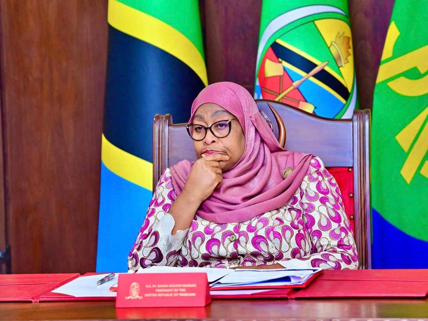 eu-raises-concern-over-post-election-violence-in-tanzania Image