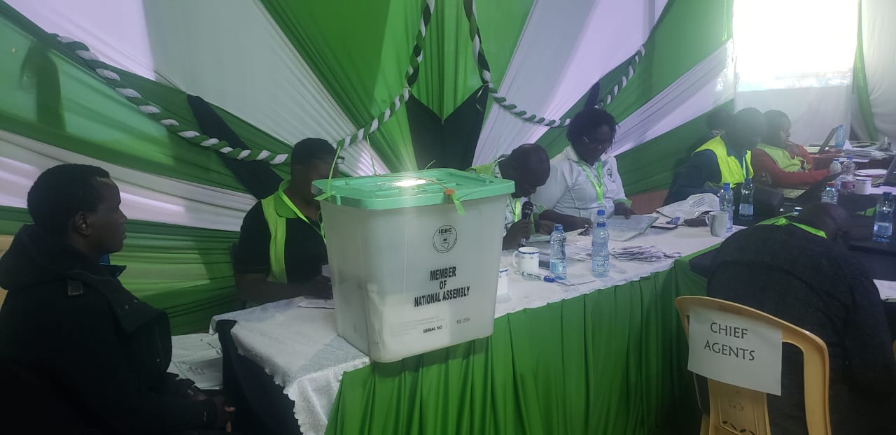 uda-and-odm-dominate-by-elections-as-iebc-announces-results Image