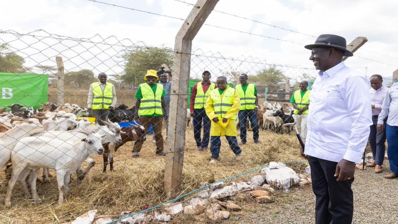 president-ruto-vows-to-turn-kenya-into-a-first-world-nation Image