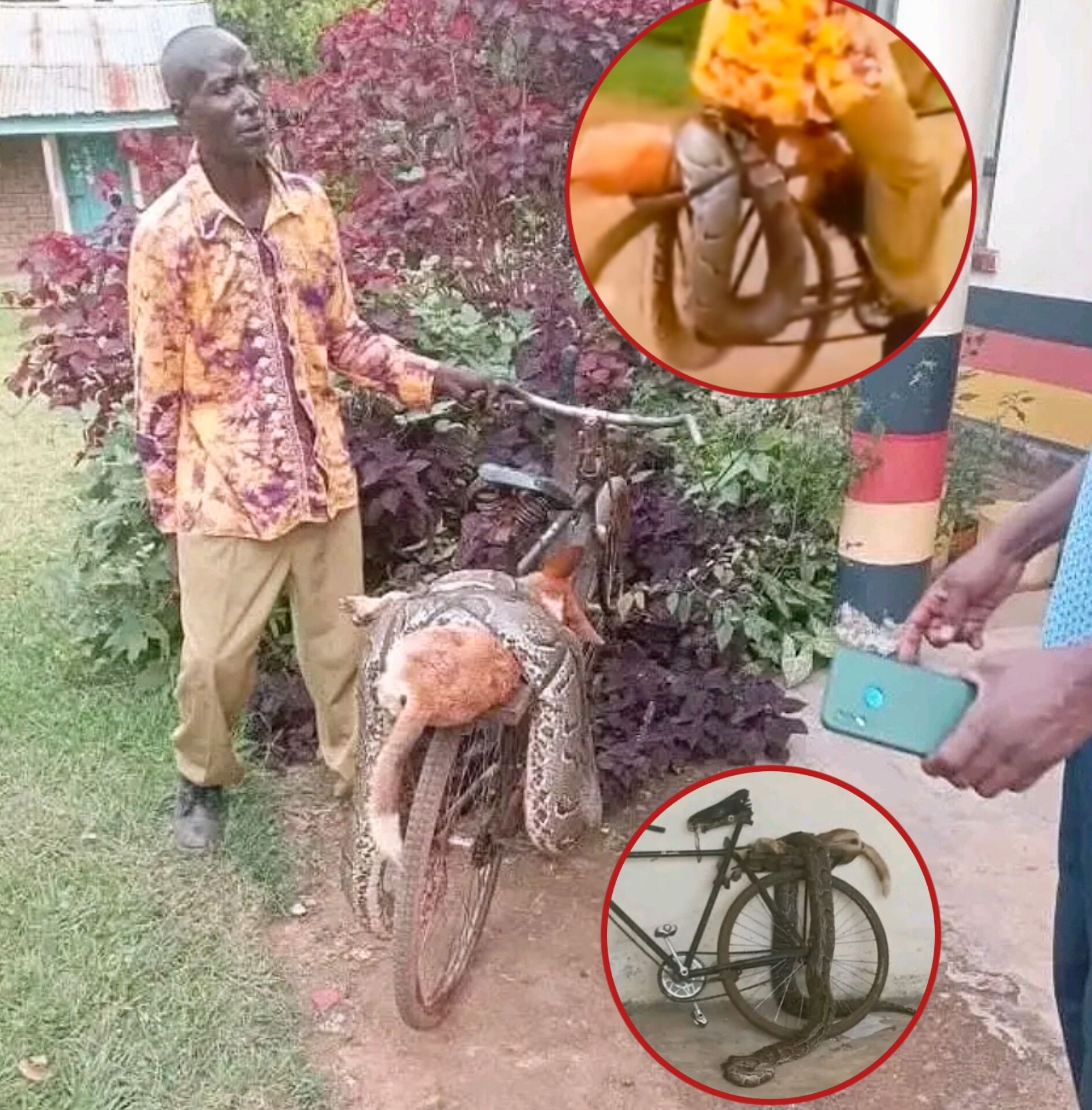 siaya-man-takes-python-that-killed-his-dog-to-police-station Image