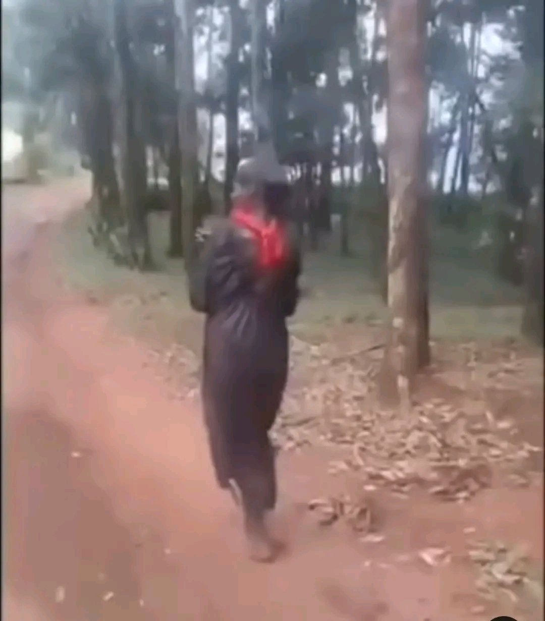 kenyan-graduate-sparks-concern-after-being-seen-wearing-graduation-gown-weeks-later Image