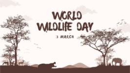 world-wildlife-day Image