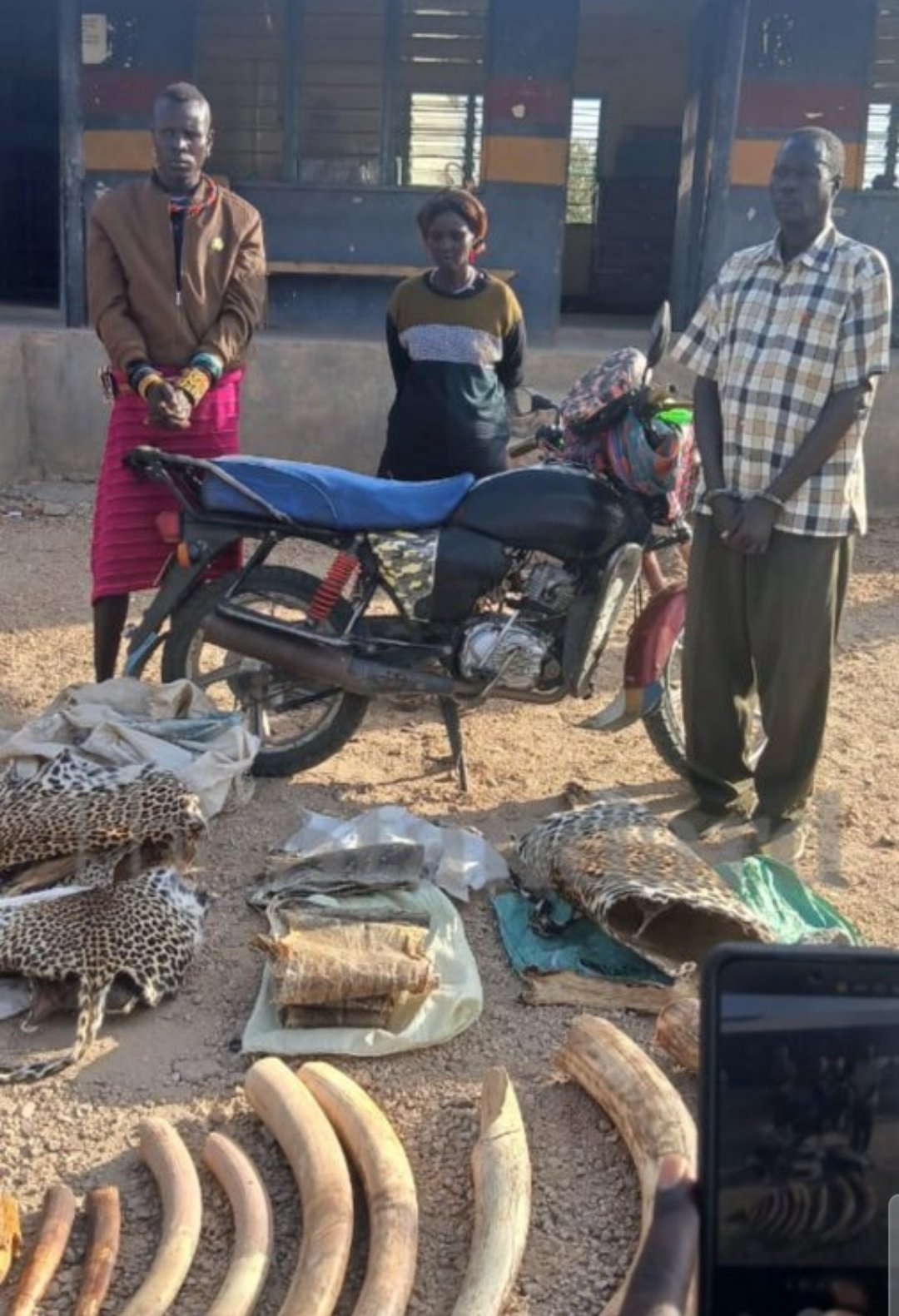kws-arrests-three-suspects-in-turkana-with-elephant-tusks-and-wildlife-skins Image