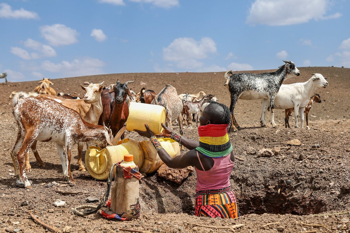state-steps-in-with-sh41-billion-as-food-insecurity-deepens Image