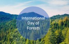 world-forests-day Image