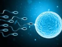 who-addresses-infertility Image