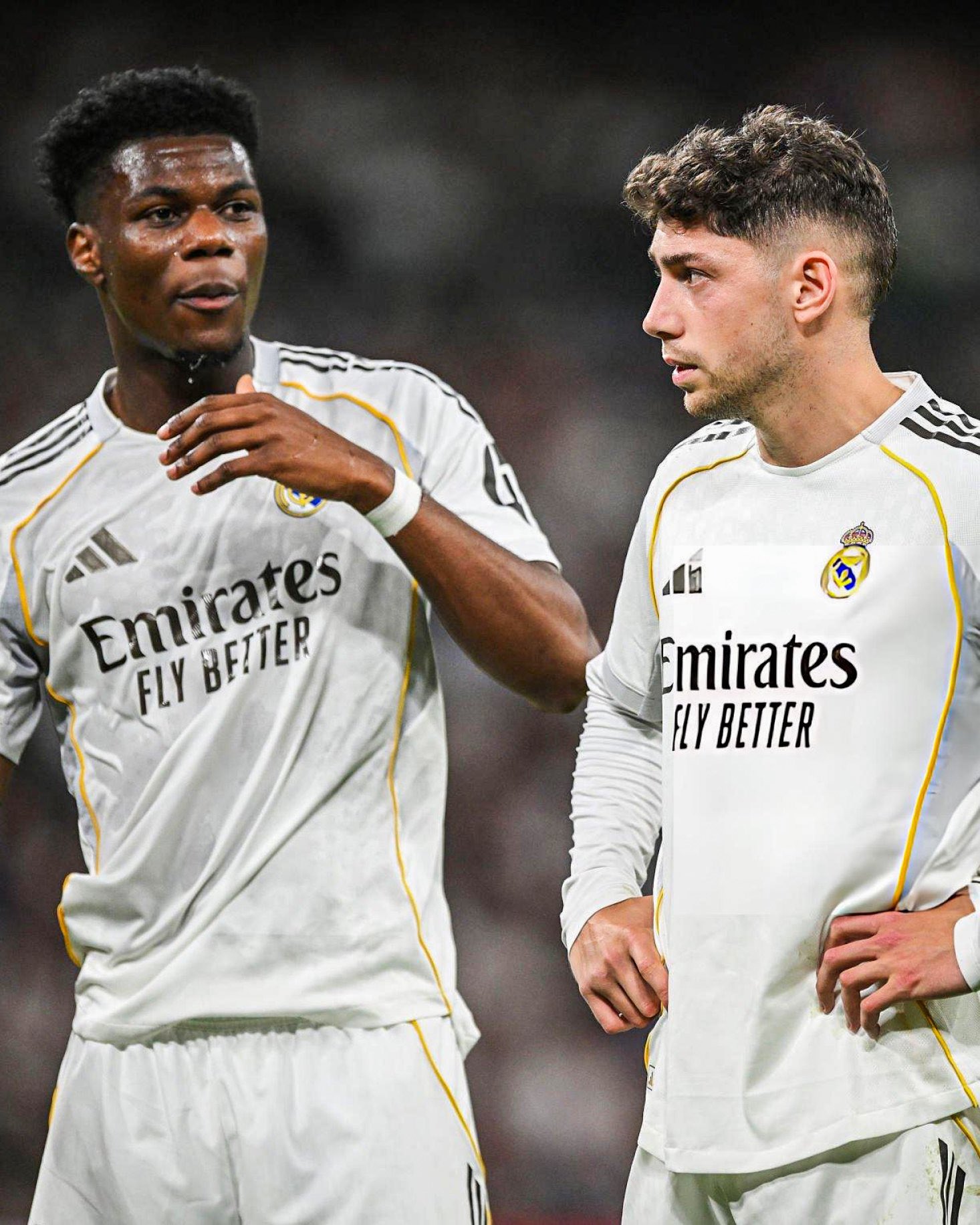 real-madrid-fine-valverde-and-tchouameni-eur500000-after-training-ground-clash Image