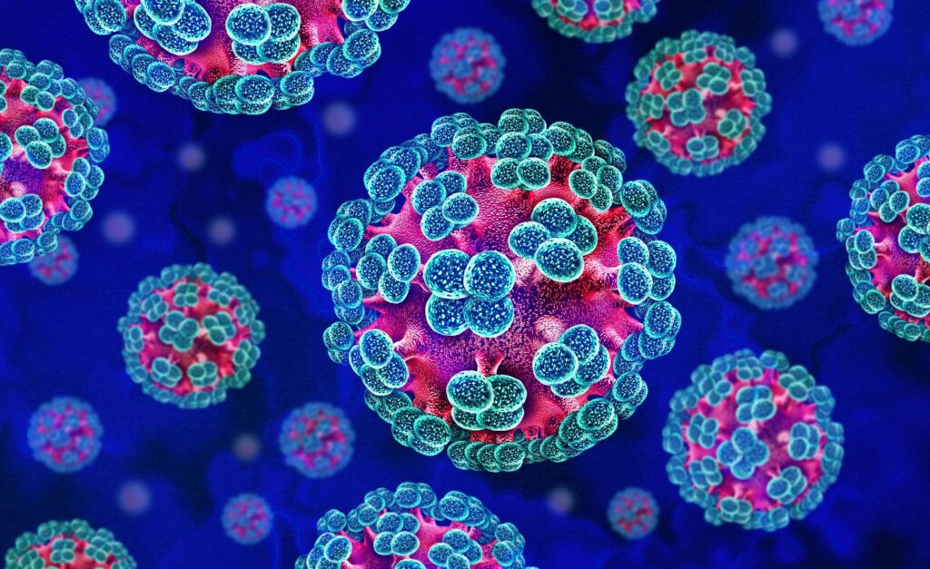 kenya-at-low-risk-of-hantavirus-infection-health-ministry-assures-public Image
