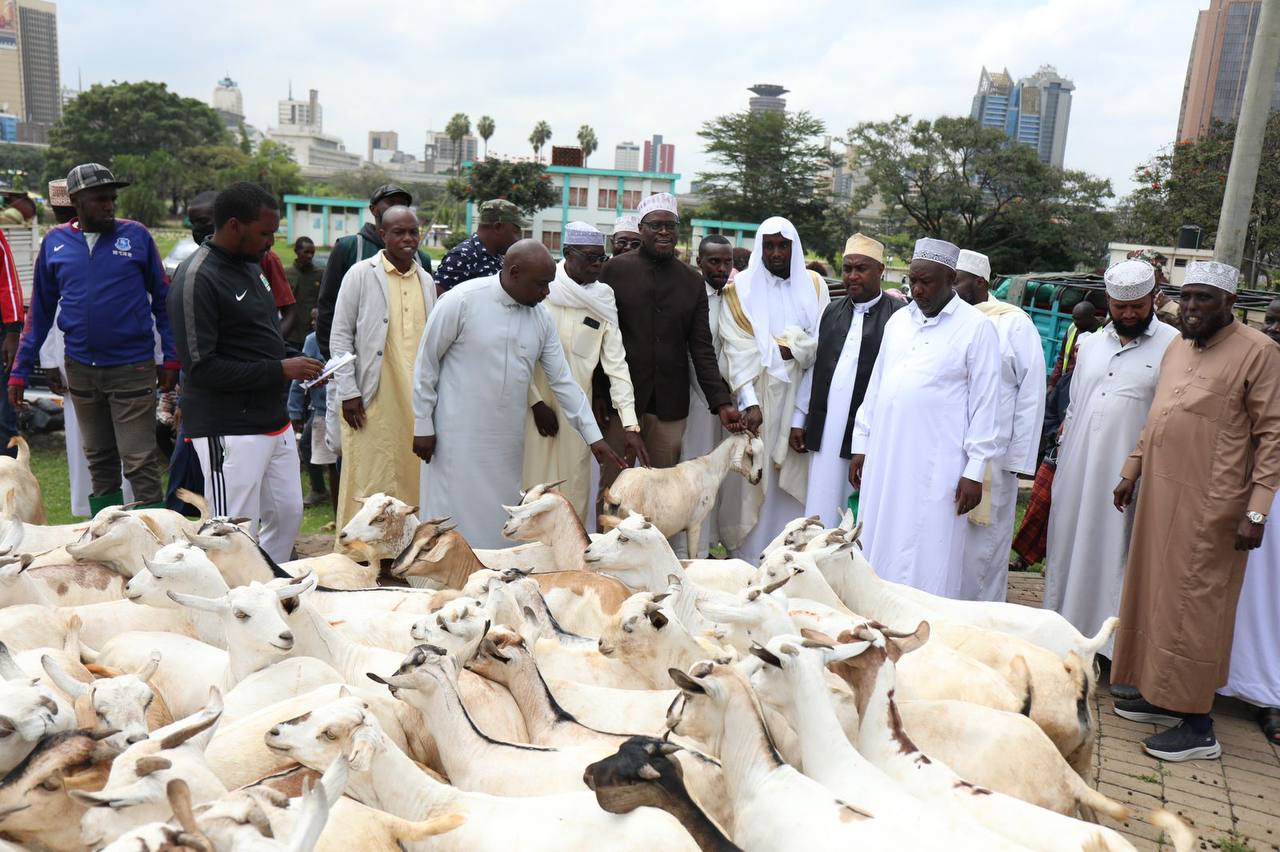 johnson-sakaja-distributes-700-goats-to-muslim-families-ahead-of-eid-celebrations Image