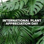 international-plant-appreciation-day Image