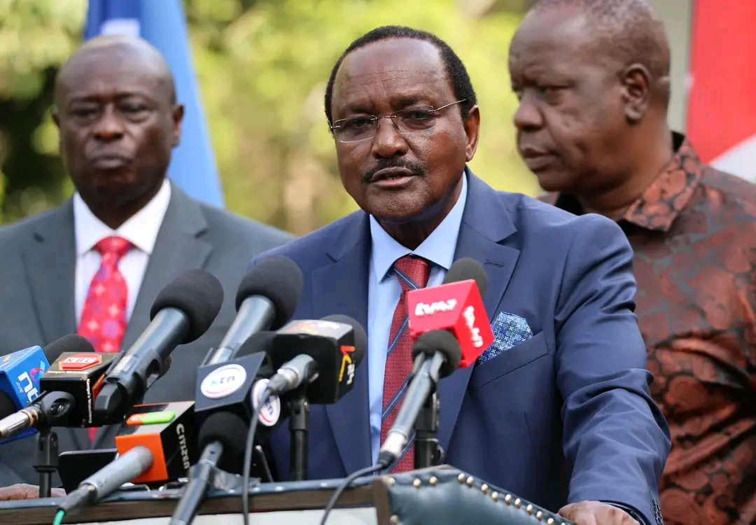 kalonzo-musyoka-runs-riot-on-government-medical-system-finance-bill-and-corruption Image