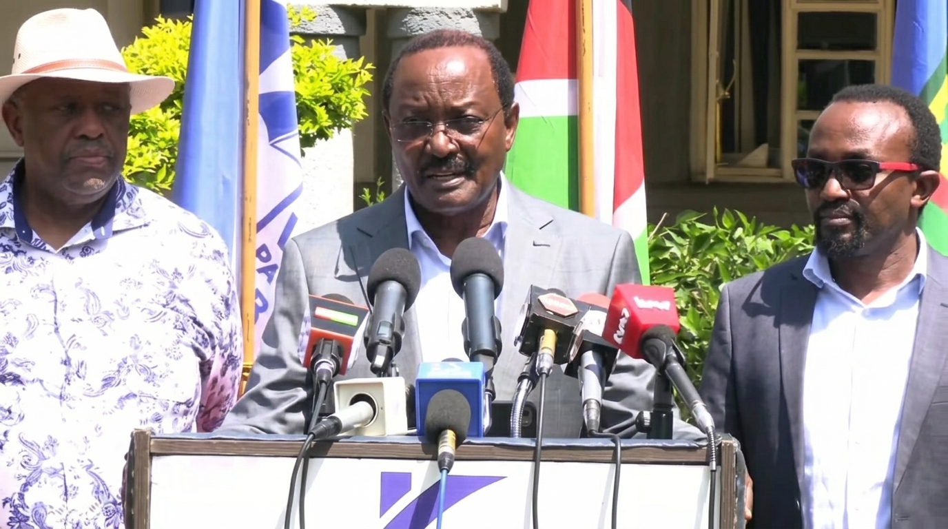 kalonzo-accuses-government-over-safaricom-share-sale-amid-legal-battle Image