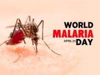 world-malaria-day Image