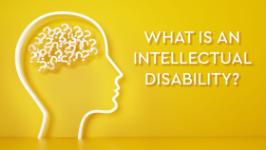 understanding-intellectual-disability Image