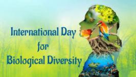 international-day-for-biological-diversity Image