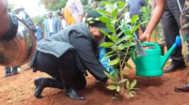 govt-urged-to-involve-pwds-in-tree-planting-campaign Image