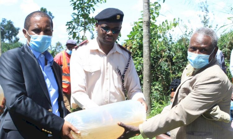 Free Fingerlings To Boost Fish Farming In Murang’a