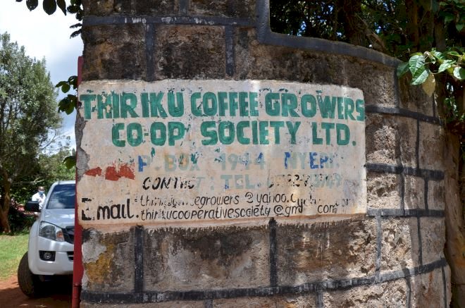 Optimism High As Kenya’s Coffee Sector Starts To Regain Its Long-Lost Aroma