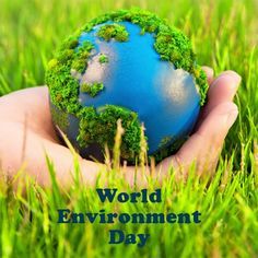 Environment Day:“A Healthy Planet For The Prosperity Of All”