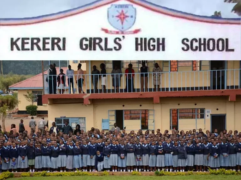 Abandoned Girl-child In Kisii County To Miss Form One