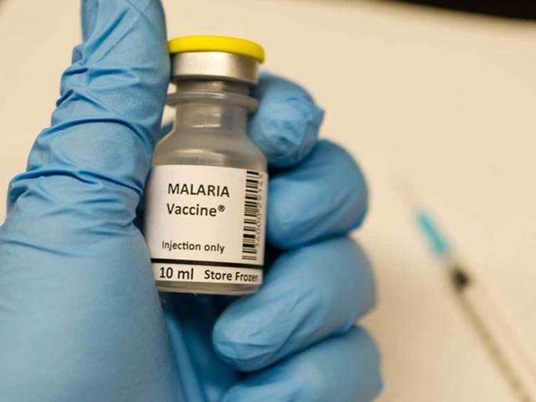 Ghana Approves Oxford’s Malaria Vaccine