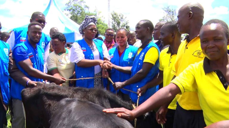 PWDs Among 22 Groups In Migori Aided By UNPD
