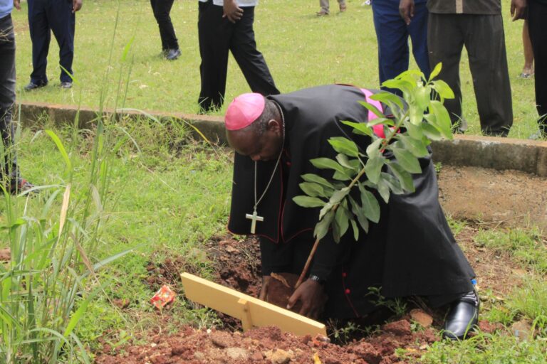 Catholic Diocese of the Murang’a Aims to Plant 600,000 Trees